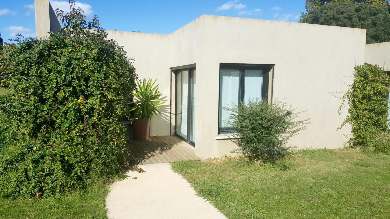 Les Madones Apartment Nîmes Exterior foto